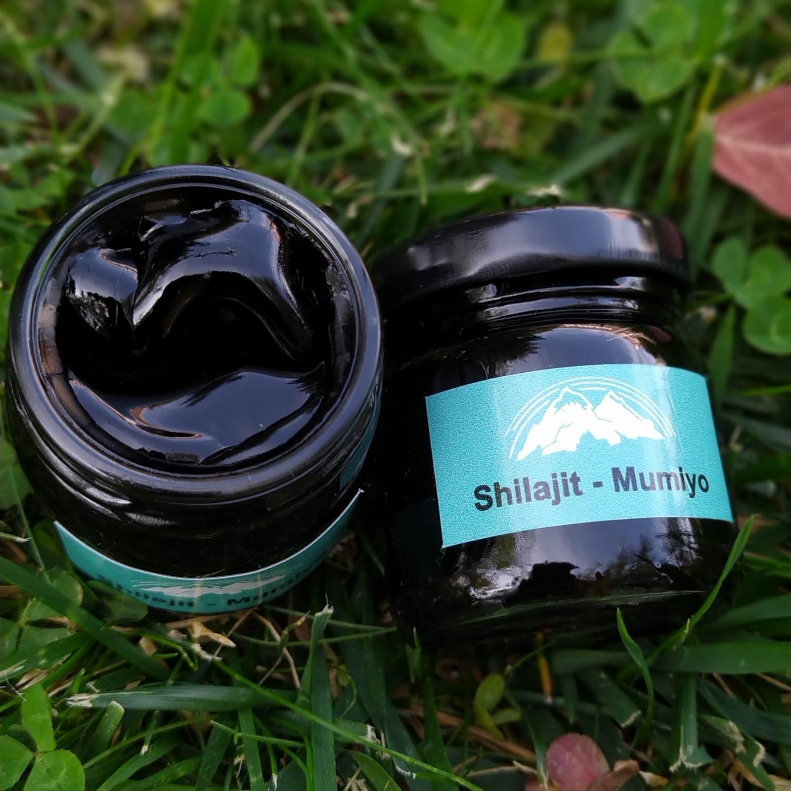 Shilajit Doğal Bir Sağlık ve Refah Kaynağıdır